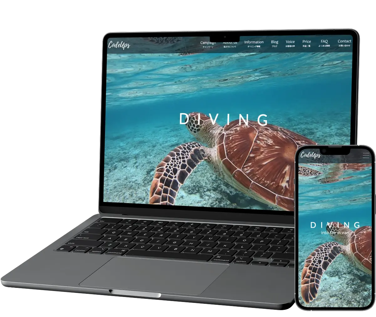 制作実績の画像2